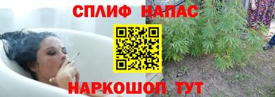 скорость Гай